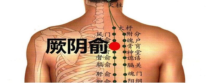 厥阴俞在哪里 厥阴俞的位置及功效