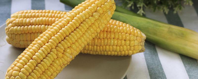 玉米热量高为什么还减肥 晚上吃一根玉米会胖吗