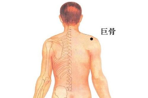 巨骨的准确位置图（巨骨的准确位置图作用）