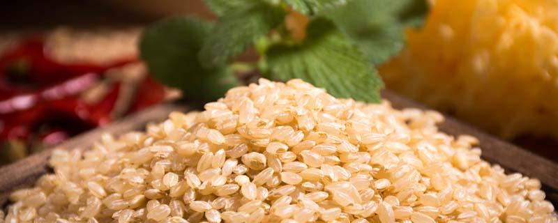 为什么糙米热量不低还减肥 为什么糙米怎么煮都感觉不熟