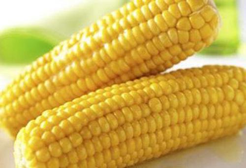 玉米的减肥功效与作用 玉米减肥的吃法