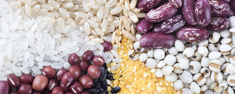 怎么吃薏米减肥效果好 薏米减肥吗?薏米减肥食谱