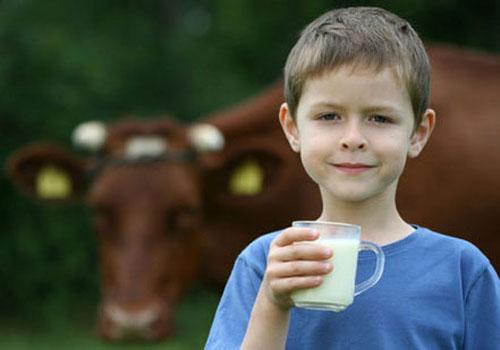 扁桃体发炎可以喝牛奶吗 小孩扁桃体发炎可以喝牛奶吗