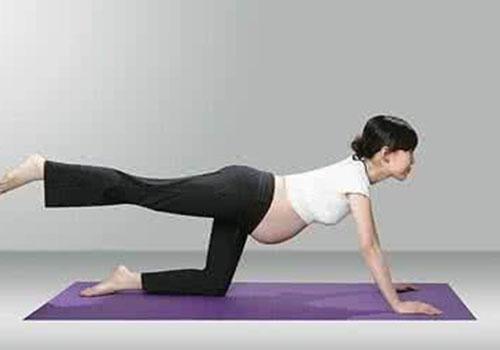 孕妇瑜伽几个月开始 孕妇瑜伽什么时候开始