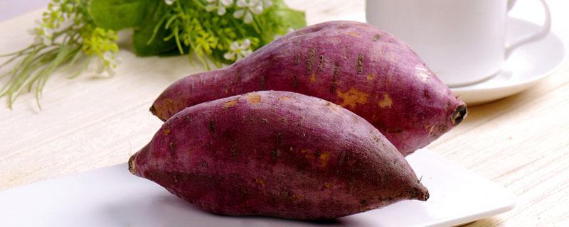 小紫薯怎么做好吃 迷你小紫薯的做法大全