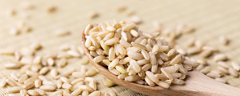 糙米可以减肥吗 糙米怎么吃减肥最快