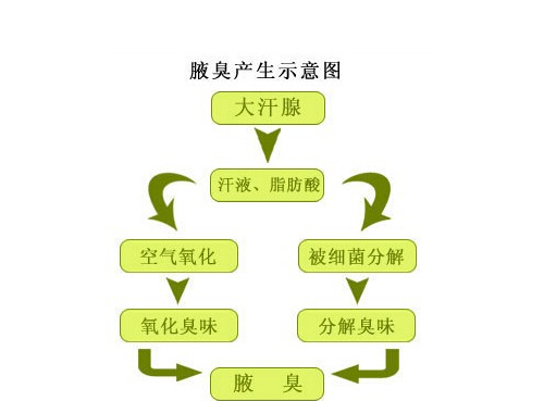 青春期有狐臭怎么办 青春期有狐臭怎么办才能根除