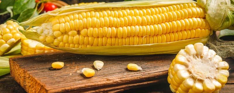 怎样判断玉米熟没熟 一般玉米要煮多久才熟