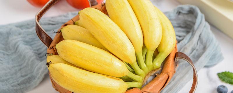 吃香蕉会不会长胖 香蕉减肥的正确方法