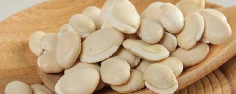 白扁豆怎么煮才能烂 白扁豆和什么一起煮粥