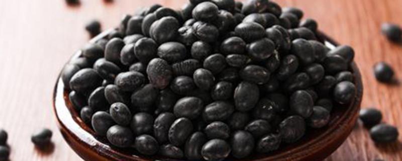 黑豆的营养价值 食用黑豆禁忌
