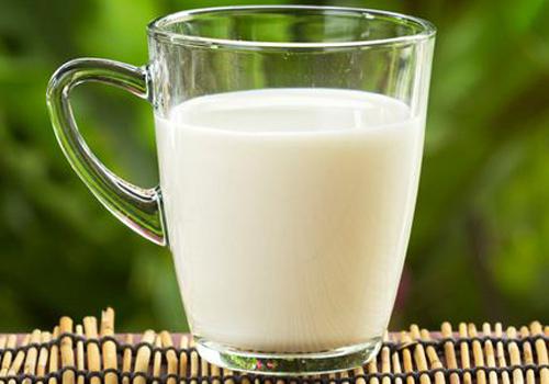牛奶减肥法有什么危害（牛奶有利于减肥吗）