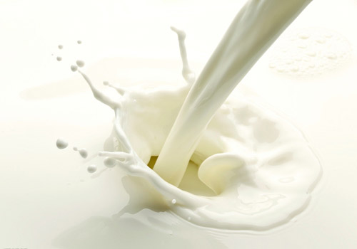 胆囊炎可以喝牛奶吗 慢性胆囊炎可以喝牛奶吗