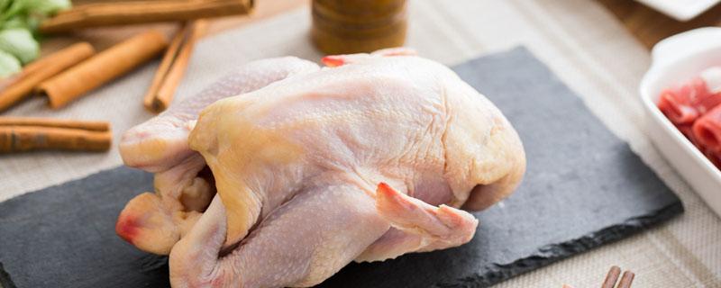 鸡肉提前腌制的意义 鸡肉腌多久才能入味