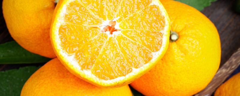 果冻橙和橙子营养价值一样吗 果冻橙和普通橙子哪个营养价值高
