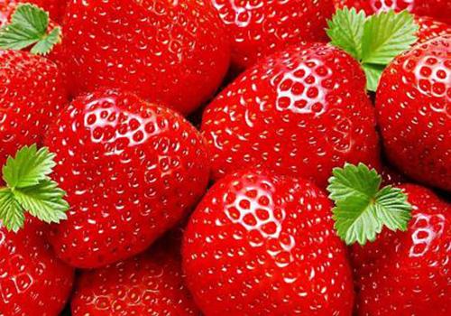 草莓和什么最配 草莓的人群宜忌