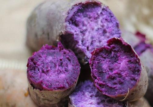 紫薯糖尿病人可以吃吗 糖尿病吃紫薯还是红薯