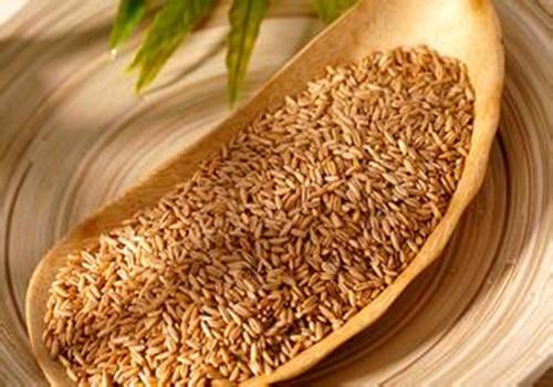 燕麦的营养价值和功效