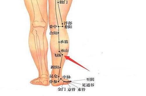 飞扬的准确位置图片 飞扬的准确位置图片视频