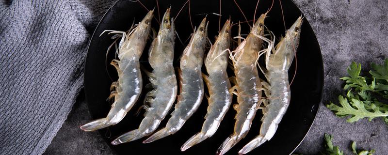 基围虾是海鲜吗 海水基围虾和淡水基围虾区别