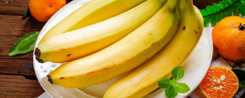 晚上可以吃香蕉吗 减肥时可以吃香蕉吗