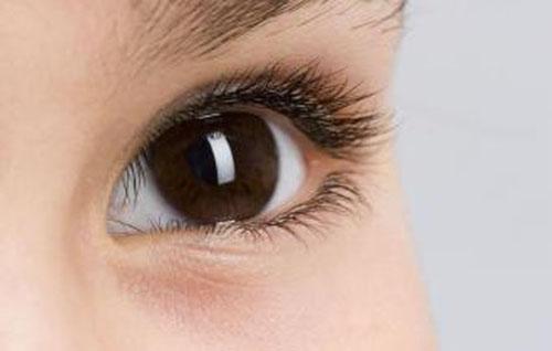 麦粒肿是什么原因引起的 眼睛长麦粒肿是什么原因引起的