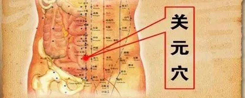 关元的准确位置图和作用 关元的准确位置图和作用及功效