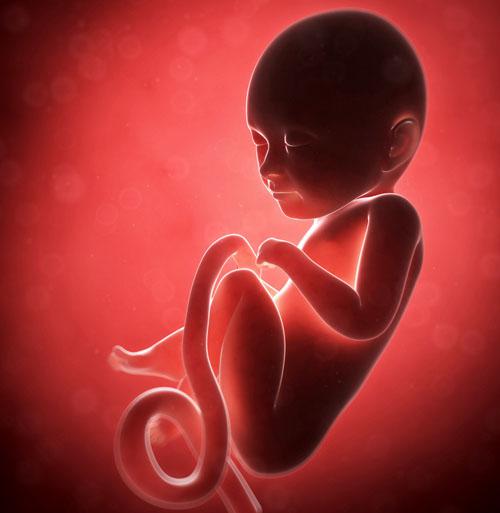 打促排卵针对胎儿有影响吗 打了促排卵针对胎儿有影响