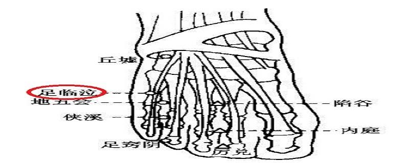 足临泣的具体位置 足临泣的具体位置图片