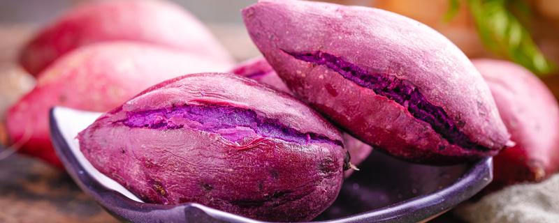 为什么紫薯煮熟了有点苦 紫薯煮熟了还很硬为什么