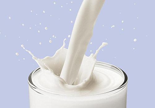 胆固醇高能喝牛奶吗（女性胆固醇高能喝牛奶吗）