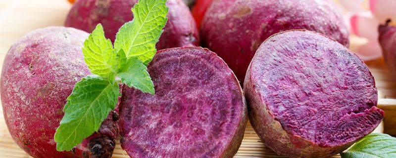 紫薯什么季节成熟 紫薯什么季节吃最好