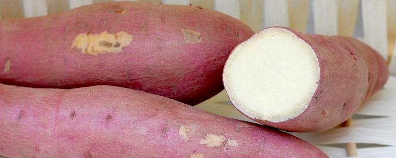 白薯的功效与作用 红薯营养高还是白薯营养高