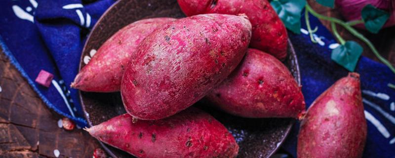 紫薯丸子怎么做好吃 自制紫薯丸子的做法