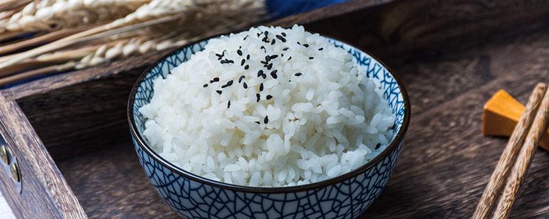 米饭真的会导致发胖吗（米饭为何会发胖）