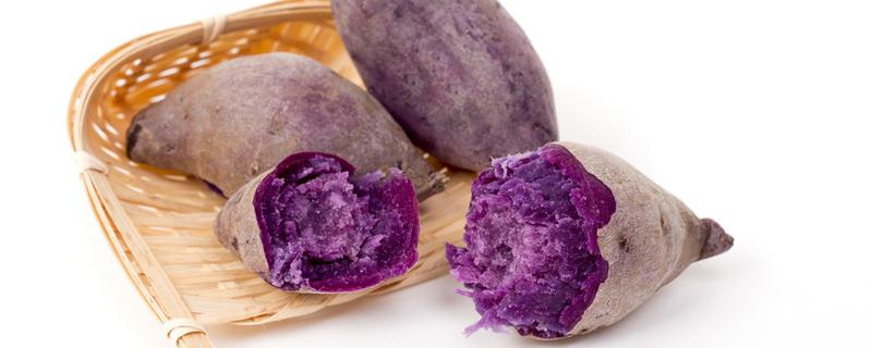 紫薯粥为什么是蓝色的 紫薯粥怎样做