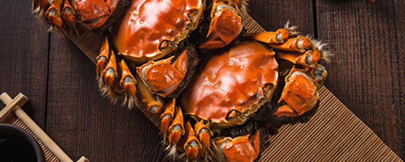 和乐蟹的功效与作用 和乐蟹的功效与作用及禁忌