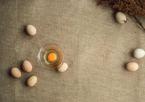 为什么鸡蛋能减肥 为什么鸡蛋可以减肥