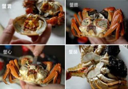 教你怎么吃螃蟹 教你怎么吃螃蟹图片