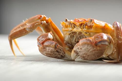 孕妇早期能吃螃蟹吗 孕妇早期能吃螃蟹吗?