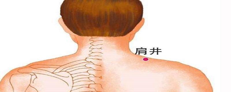 肩井是哪条经络 肩井位于哪条经脉