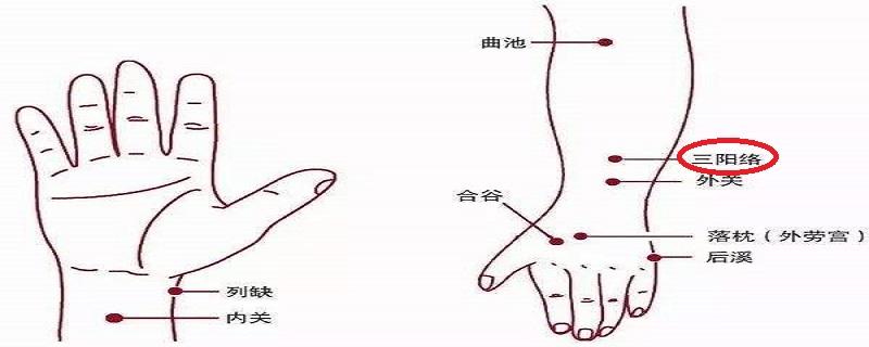 三阳络是什么意思 三阳络作用