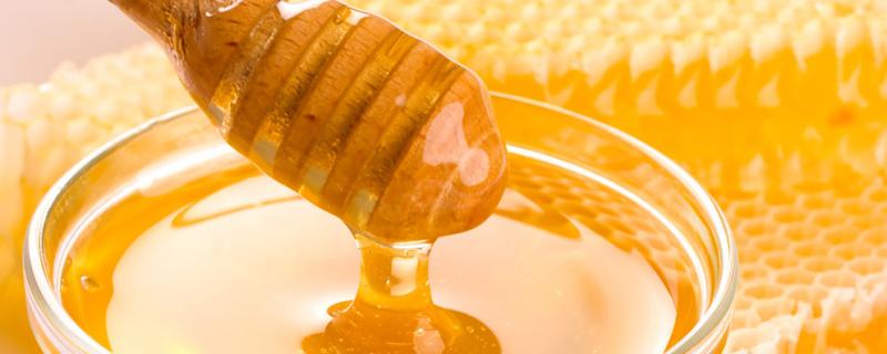 香蕉和蜂蜜能一起吃吗 香蕉可以和蜂蜜一起吃吗
