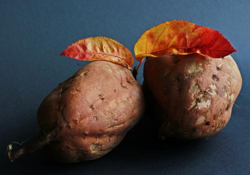 红薯吃了能减肥吗（红薯吃了能减肥吗会反弹吗）