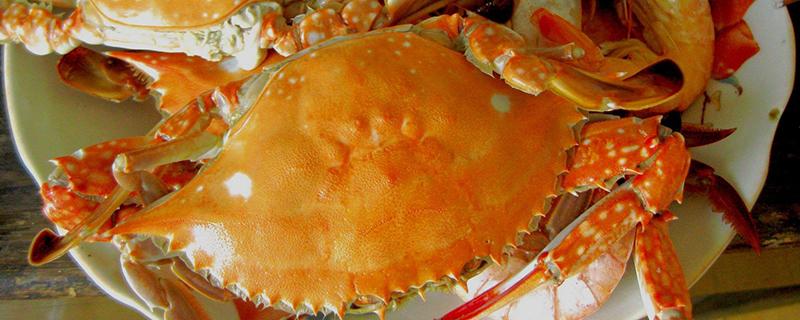 螃蟹吃不完怎么保存 螃蟹吃不完怎么保存在冰箱