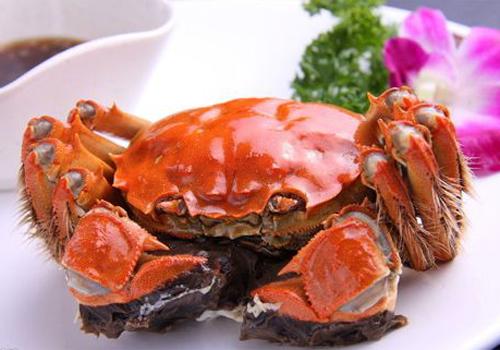 螃蟹怎么吃比较好 螃蟹怎么吃比较好吃