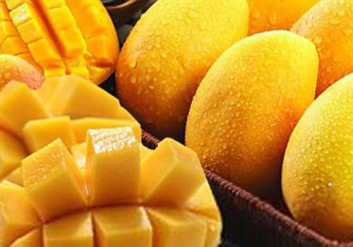 芒果里含有什么营养 芒果里含有什么营养成分最多
