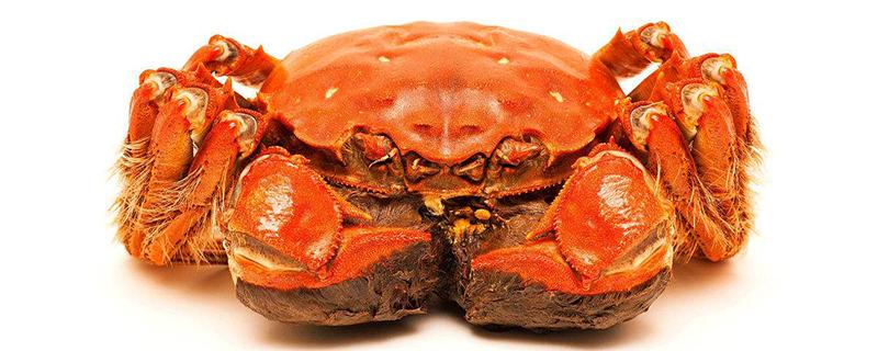 红薯和螃蟹能一起吃吗（红薯和螃蟹能一起吃吗会过敏吗）