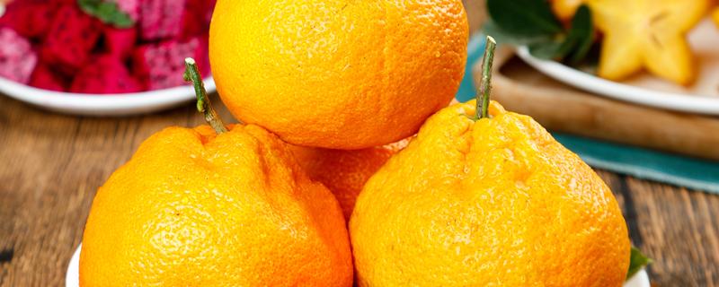 耙耙柑跟丑橘有什么区别 耙耙柑是不是就是丑橘