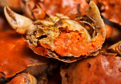 螃蟹和姜一起吃会怎么样 螃蟹和洋姜能一起吃吗